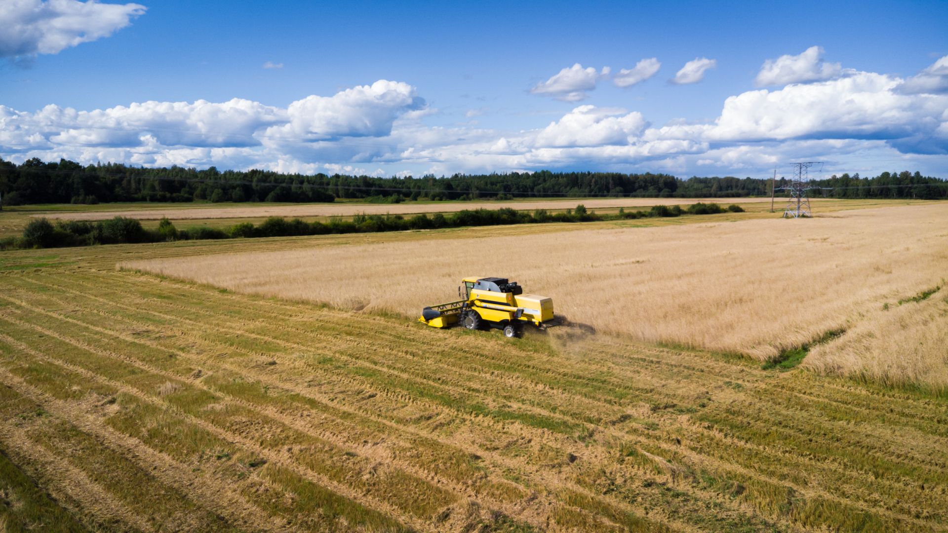 OÜ KOKSVERE VESKI Mahe kaerahelbed, Mahe täistera nisujahu, Mahe odrakruup Üle Eesti